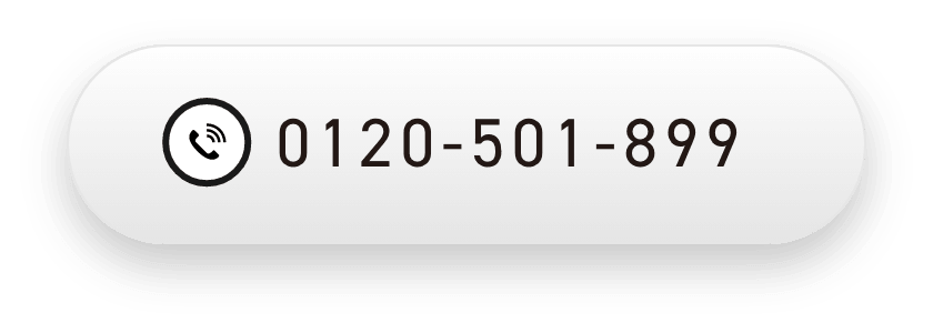 0120-501-899